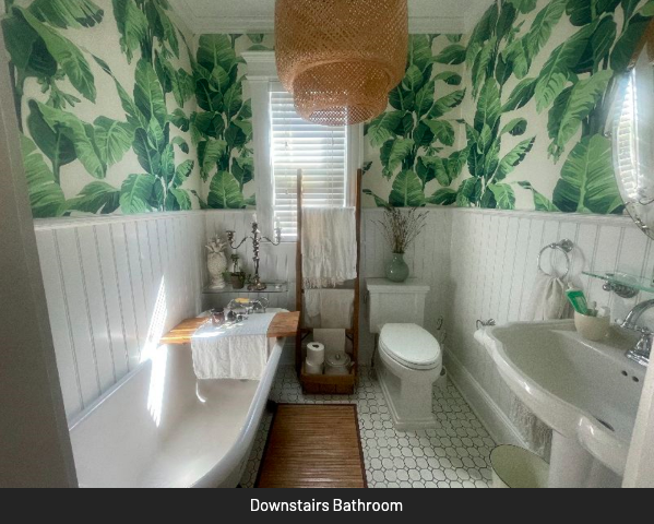 Downstairs Vintage Tub / Bathroom - 60 Brittin Ave