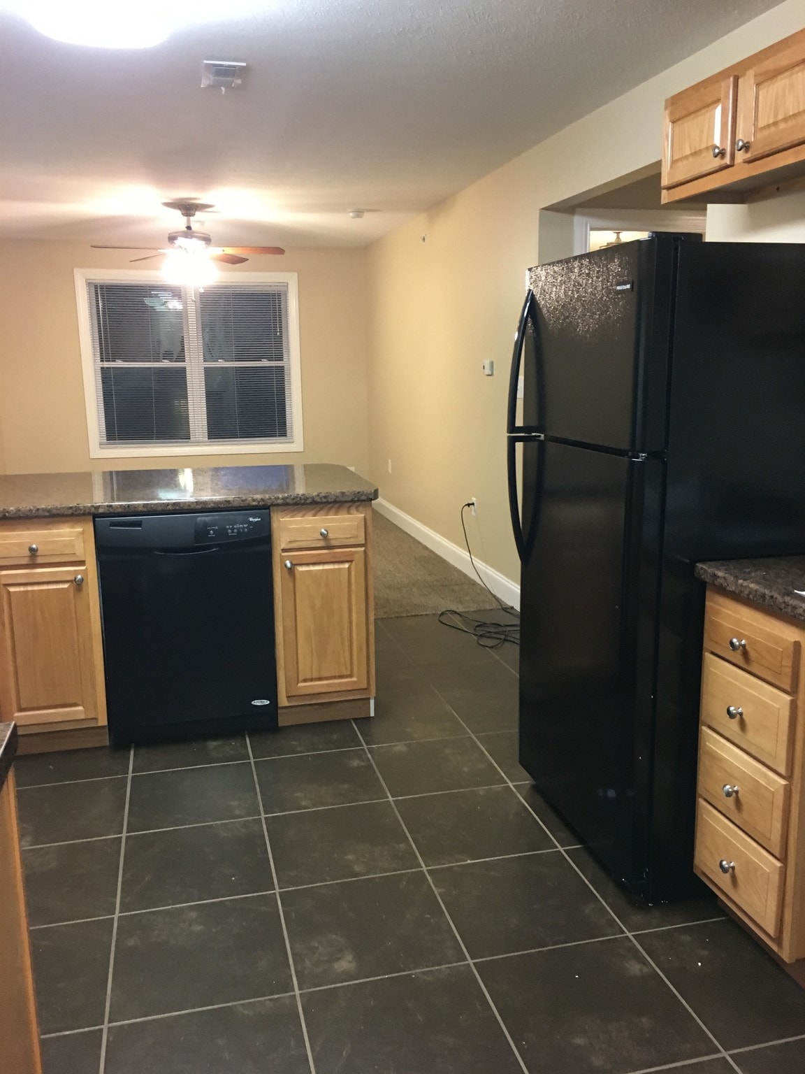Kitchen looking into living toom - 1640 Blue Horizon Dr
