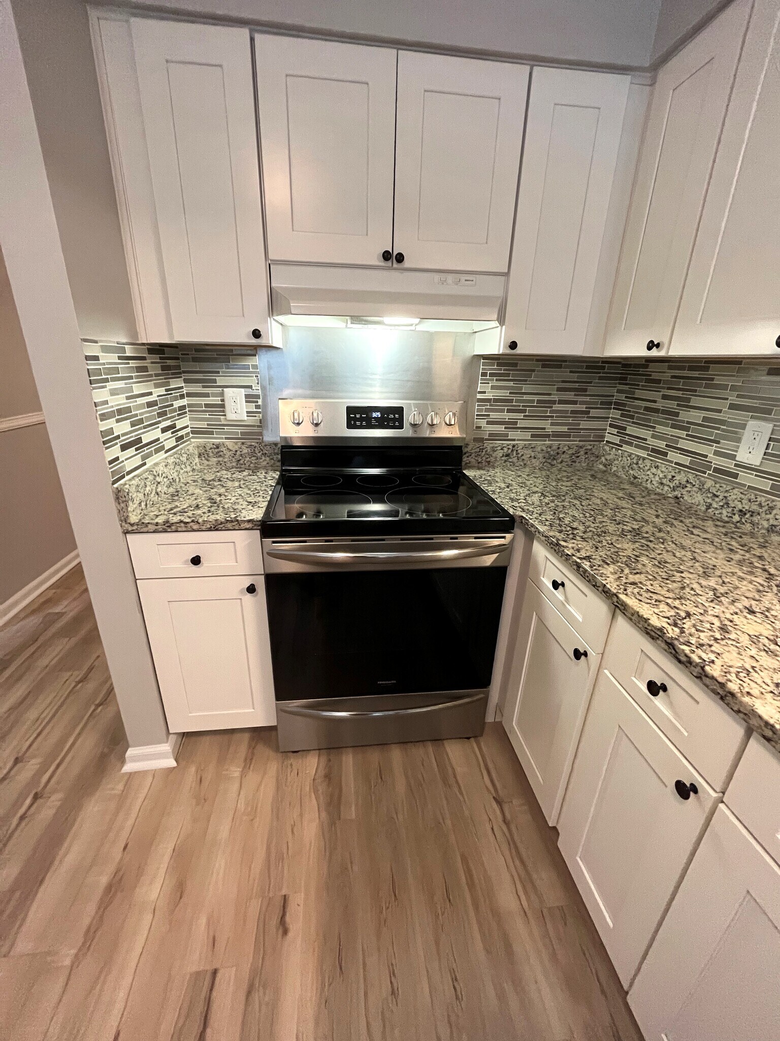 Kitchen - 1035 Willow Green Dr