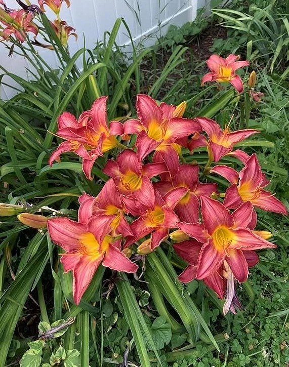 Building Photo - 227 E Garrison St