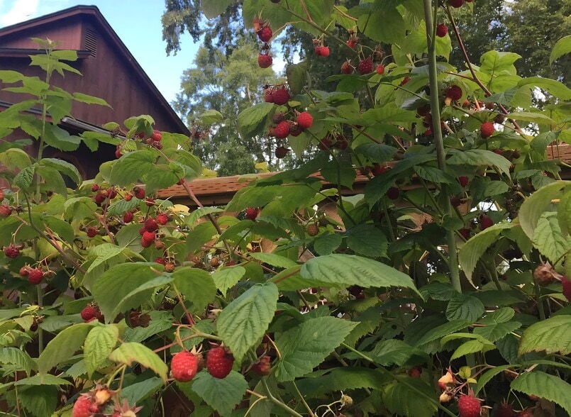 Building Photo - 1426 Orca St