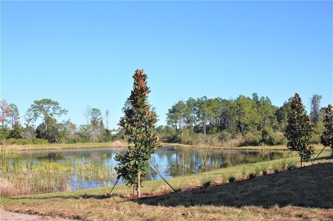 Building Photo - 9077 Shadyside Ln