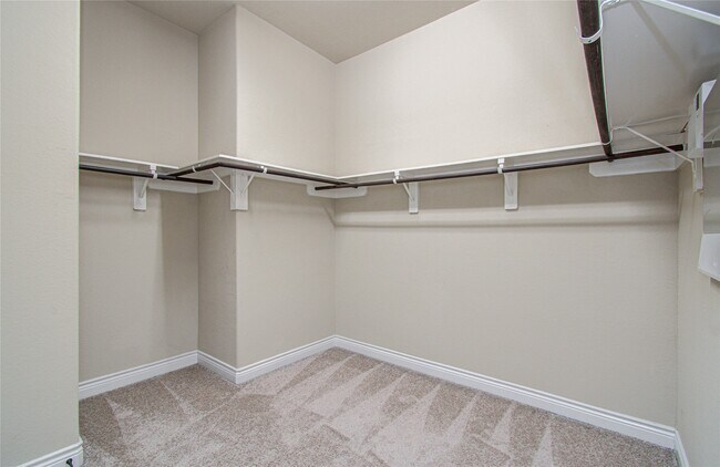 Building Photo - 3814 Trophy Ridge