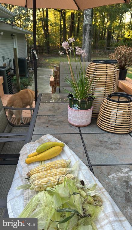 Building Photo - 1418 Shady Rst Rd