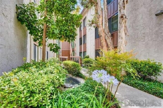 Creek lined walkway to front - 3776 Alabama St