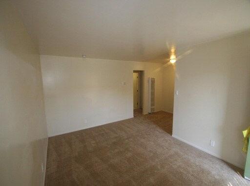 Interior Photo - The Palm Apartments