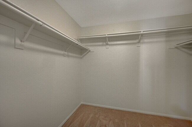 Building Photo - 1005 Prestige Meadows Pl