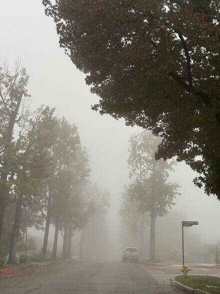 Building Photo - 9809 Creemore Dr