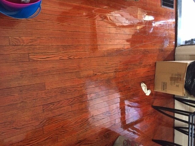 Interior Photo - 466-468 Colvin St