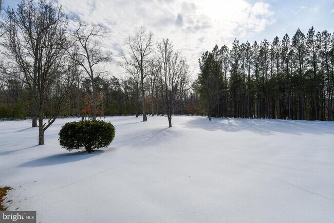 Building Photo - 10049 Meleen Dr