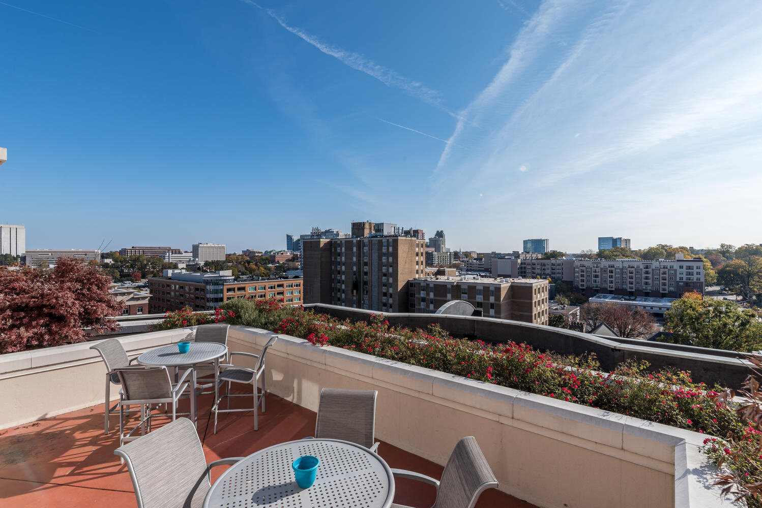 10th Floor Terrace - 618 N Boylan Ave