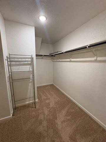 Building Photo - 713 Peach Tree Ln