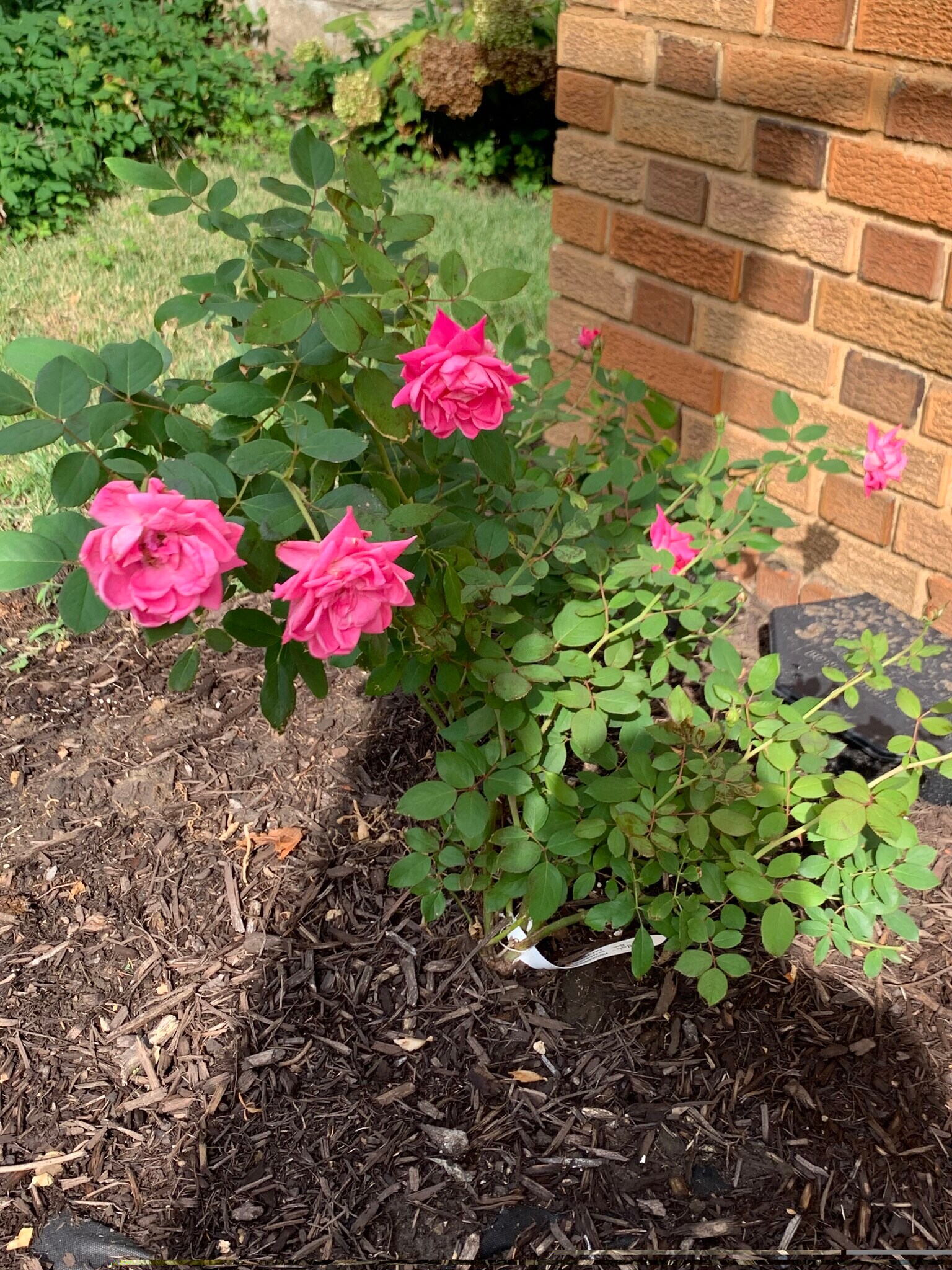 Building Photo - 706 E 71st Ter