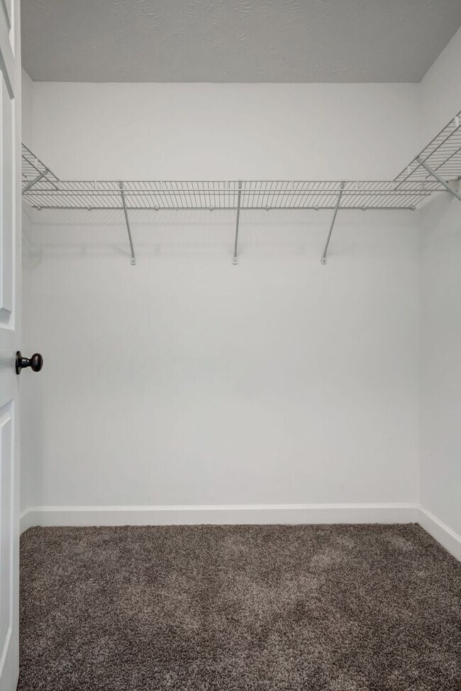Building Photo - Timber Trail Drive Rental