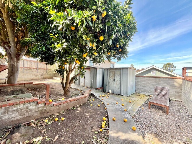 Building Photo - 4626-4630 Newport Ave