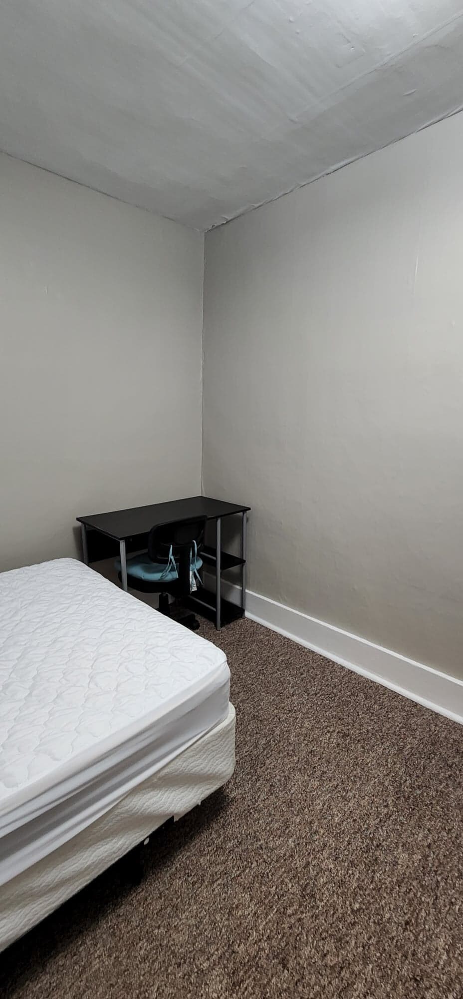 Building Photo - 17 Frank St