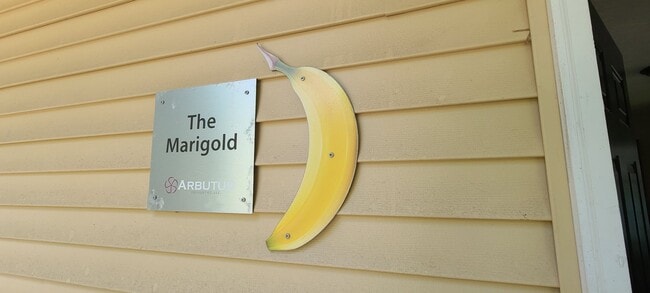 Primary Photo - The Marigold