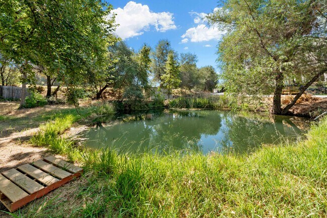 Building Photo - 3849 Bluebird Ln