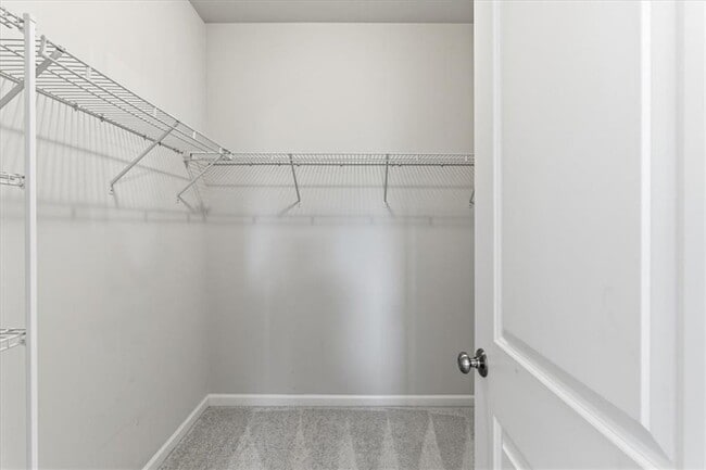 Building Photo - 2565 Cherry Birch Ln