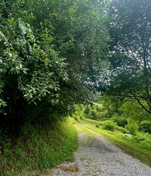 Building Photo - 2325 Snow Creek Rd