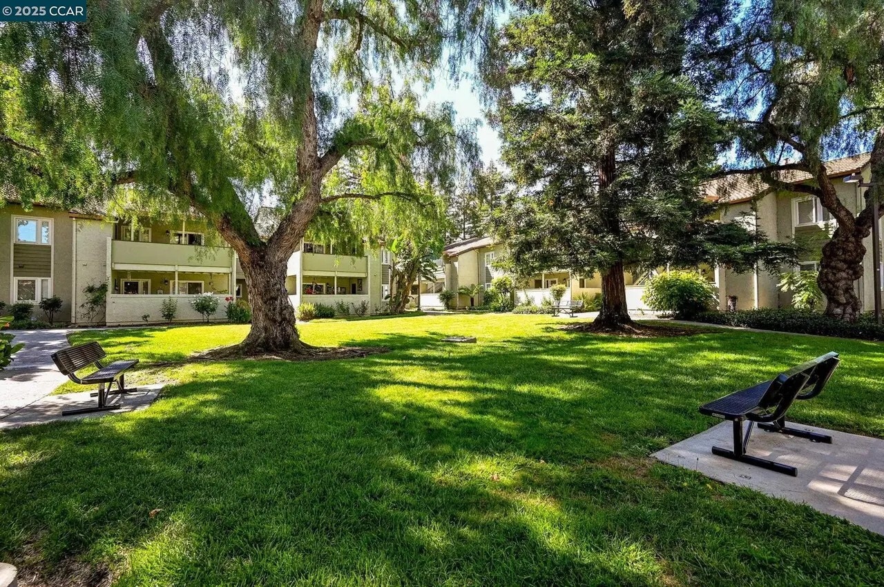 Building Photo - 1505 Kirker Pass Rd