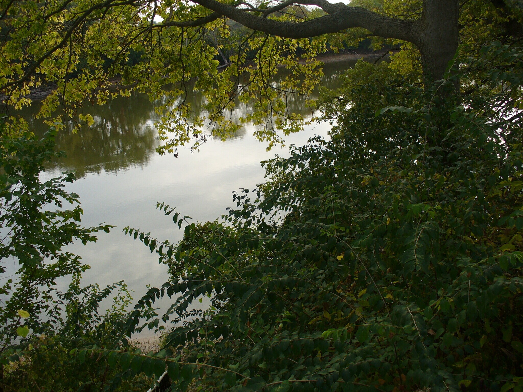 Building Photo - 11293 Edgemere Ter