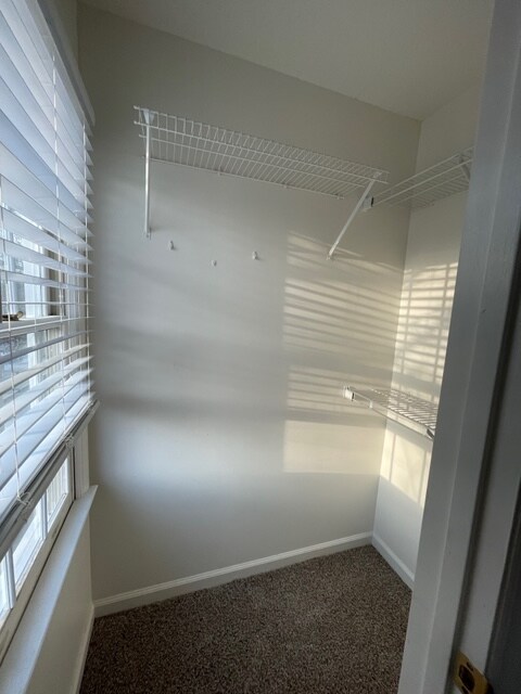 Building Photo - 4028 Iron Horse Rd