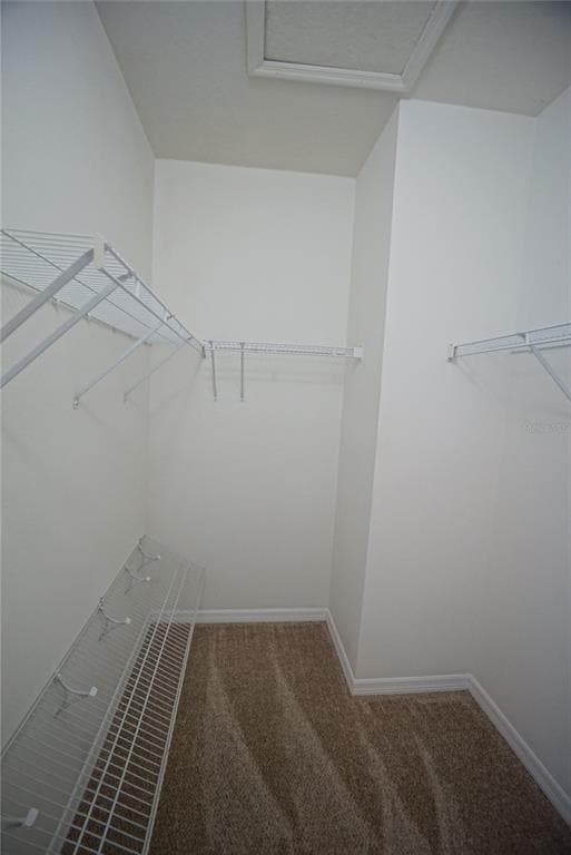 Building Photo - 8945 Moonlit Meadows Loop