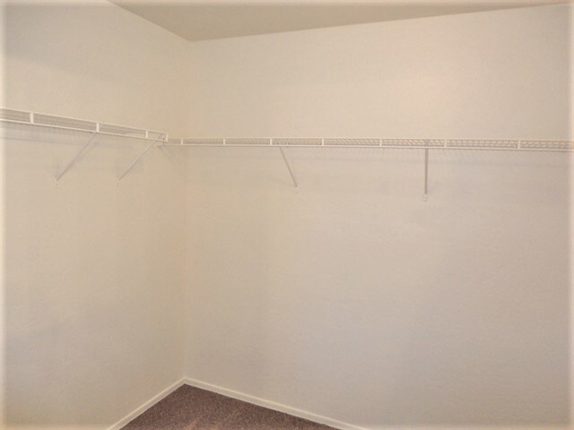 Building Photo - 2162 E Haflinger Way