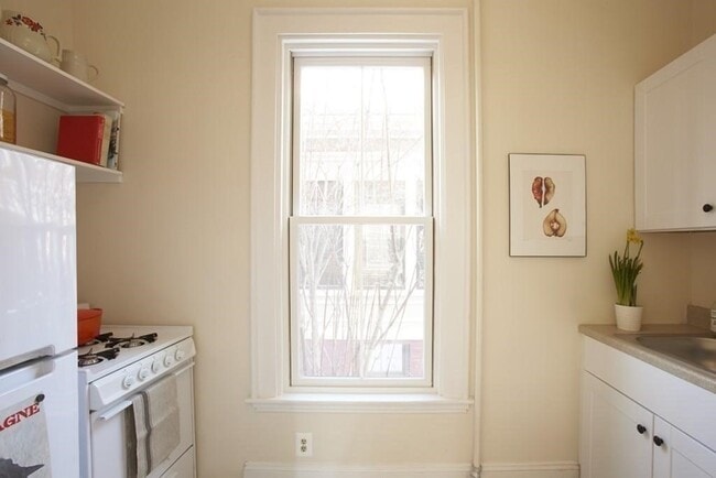 Building Photo - 26 Linnaean St