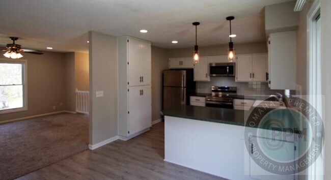 Building Photo - Millard 3 bed 3 bath with Park Access!