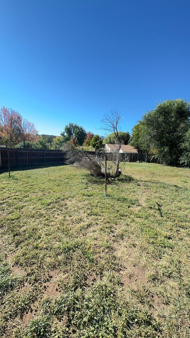 Building Photo - Cheshire 4 bedroom home with huge yard! MO...