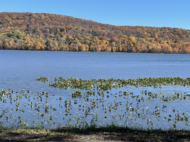 Building Photo - 138 New York Ave