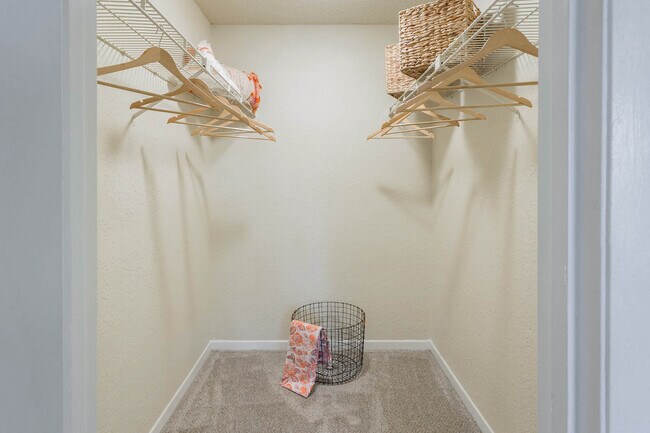 Interior Photo - Conway Forest