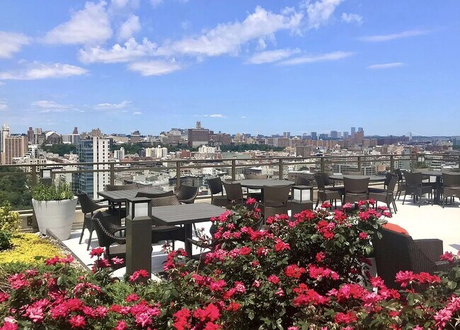 Building Photo - 1280 Fifth  apt. 15B