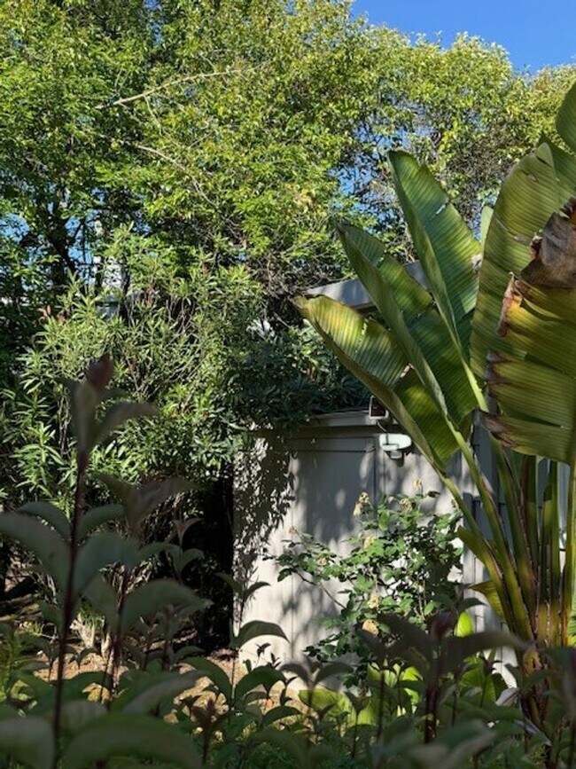 Building Photo - Beautiful 4 Bedroom 2.5 Bath Home in Montevideo Community