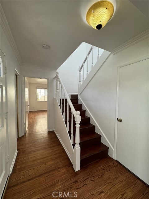 Building Photo - 4918 Haskell Ave