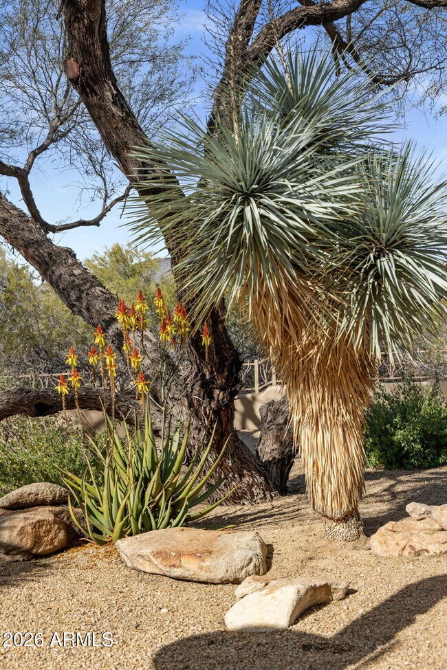 Building Photo - 34068 N 79th Way