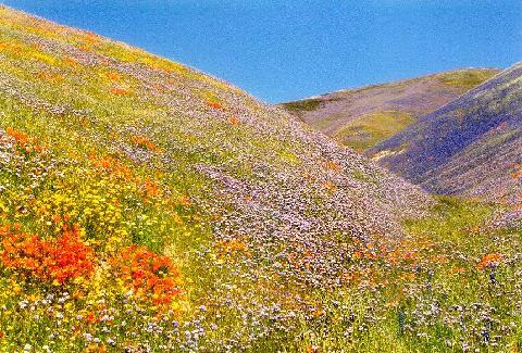 Building Photo - 928 Hemming Way