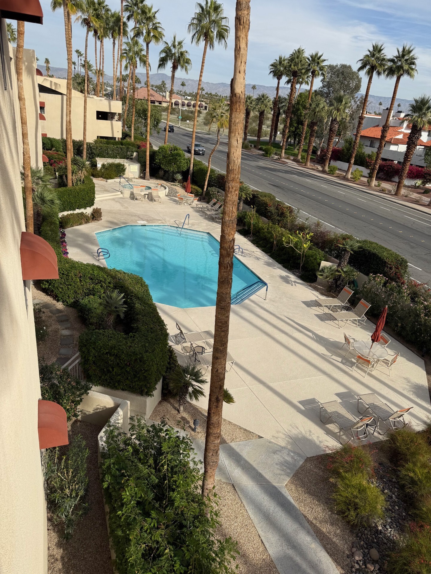 Pool and Spa - 255 S Avenida Caballeros