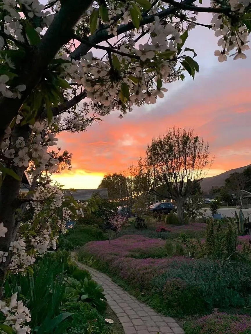 Building Photo - 848 E Northridge Ave