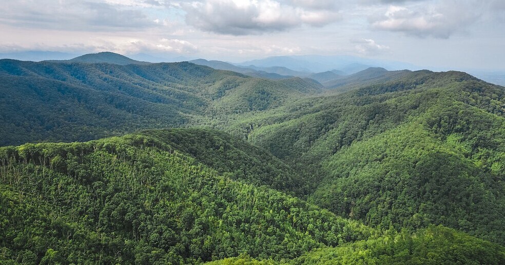 Hike up Buffalo mountain - 711 Hamilton St