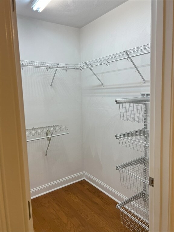 Building Photo - 11 Cheriton Rd