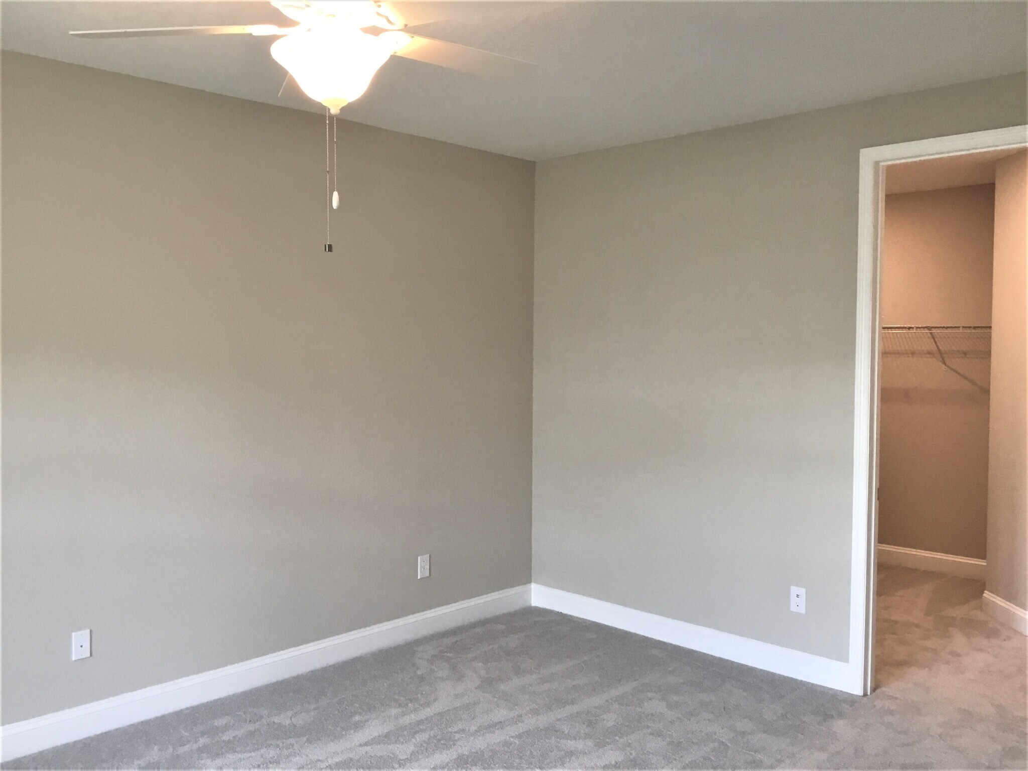 Building Photo - 54 Cobalt Ln