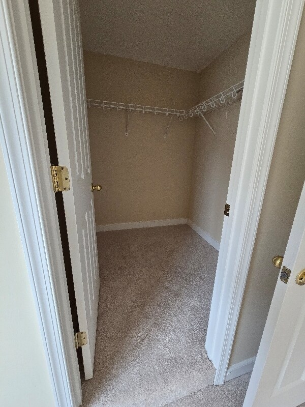 Building Photo - 5653 Cabinwood Ct