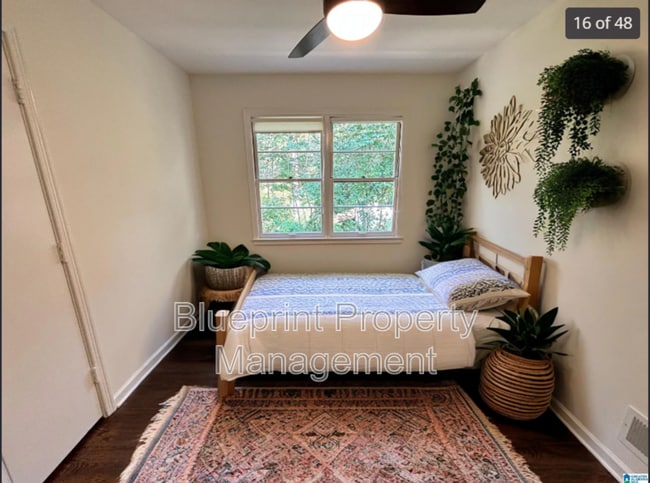 Building Photo - 500 Rollingwood Rd