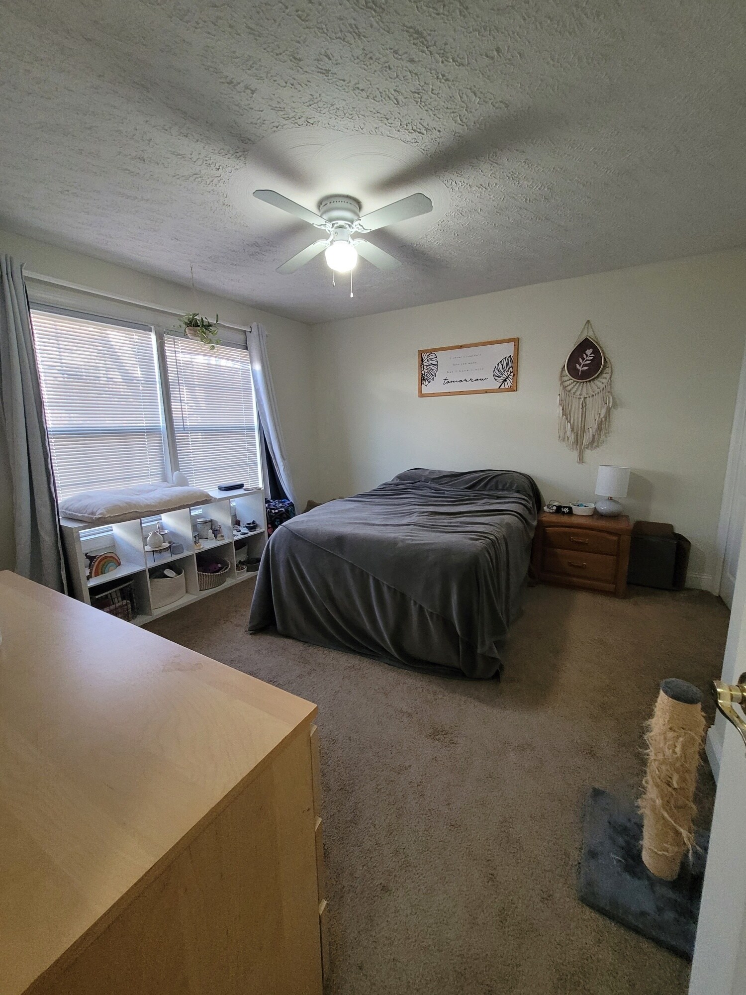 Room #3 Master - 515 Silver Leaf Dr