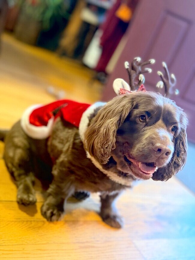 Building Photo - Free application fees until Friday is our gift to you!