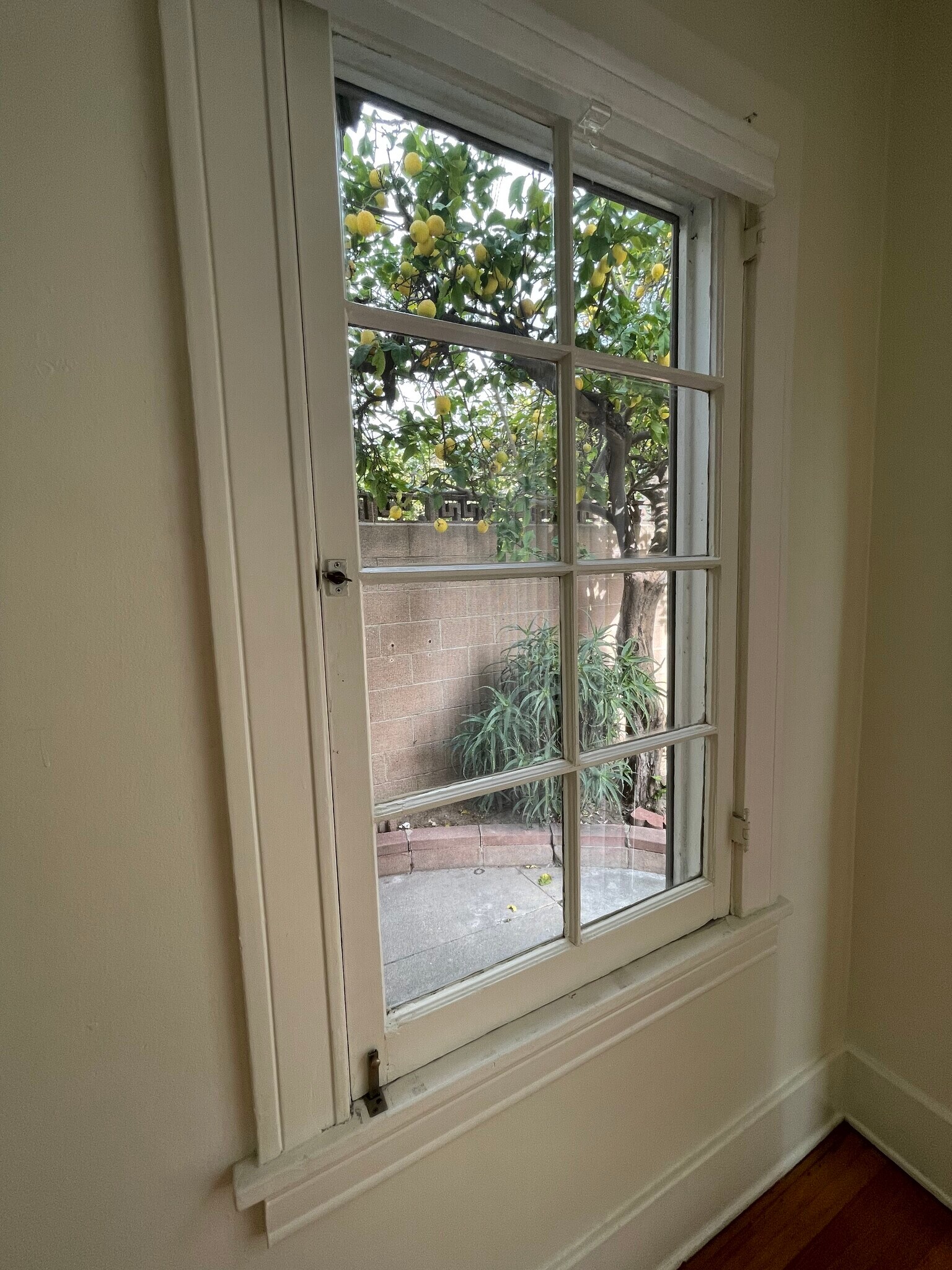Bedrm No 2 window - 324 S Coronado St