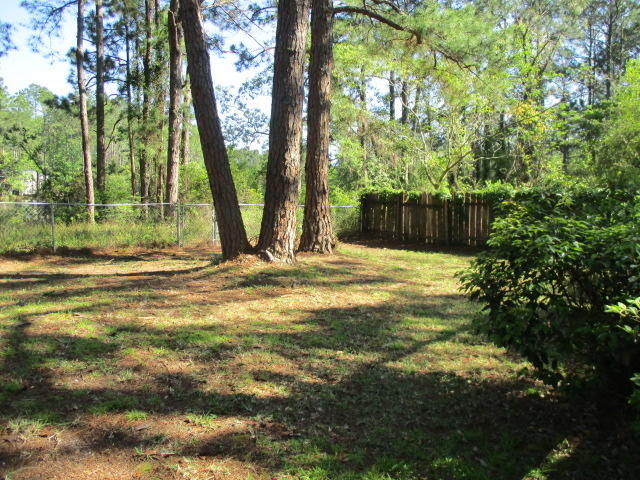 Building Photo - 313 Somerset Dr